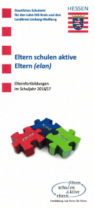 elan flyer