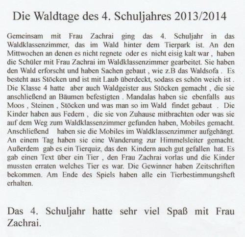 bericht-waldtage-annika